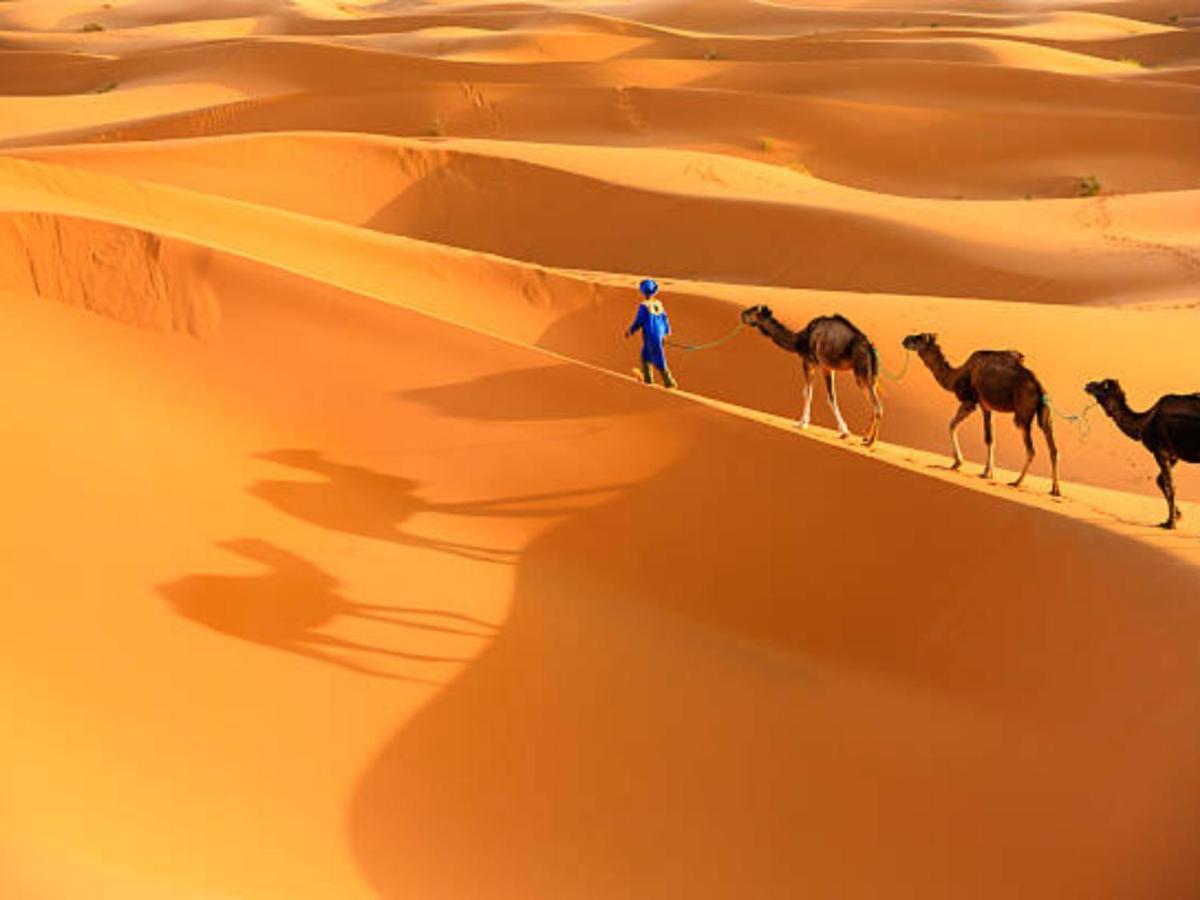 Desert Paradise Luxury Camp Merzouga Dış mekan fotoğraf